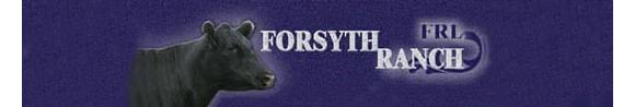 Forsyth