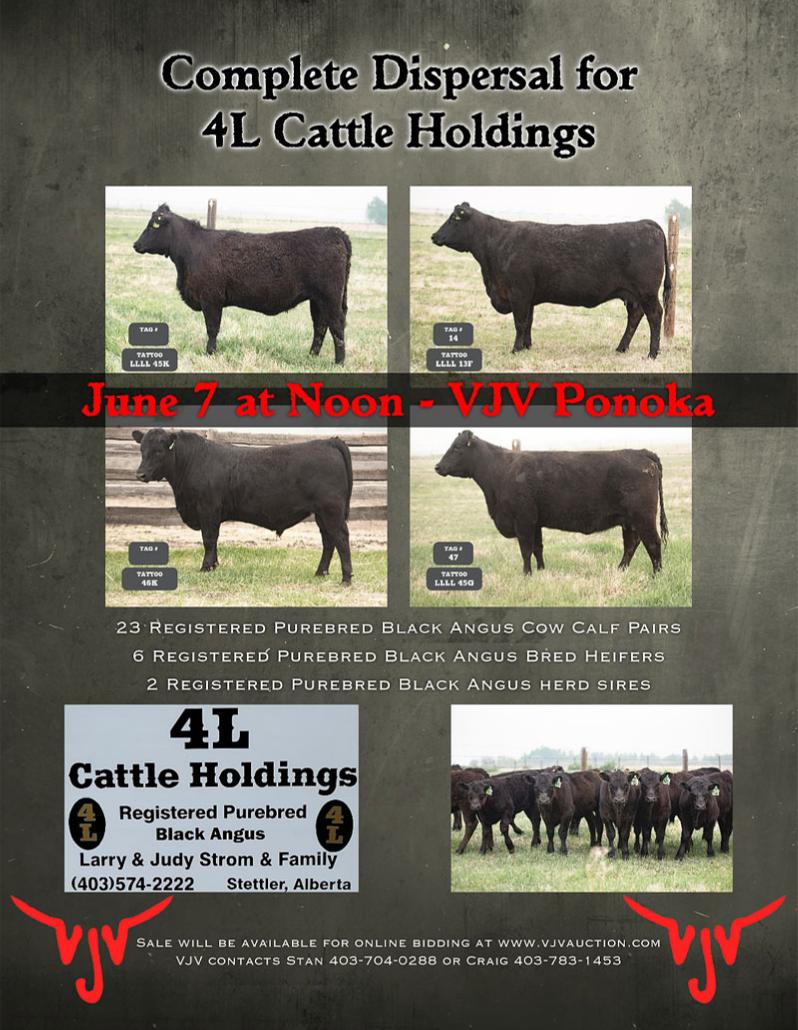4L Cattle Holdings