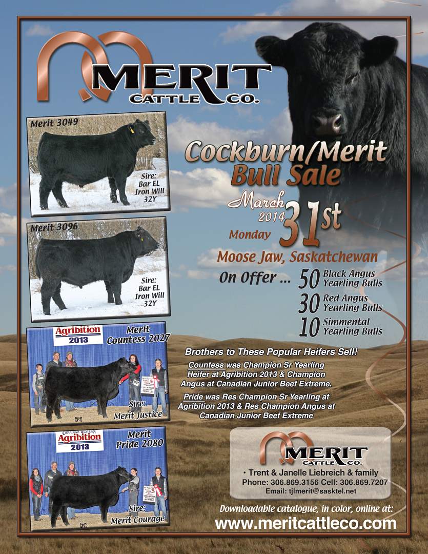 Merit Cattle Co.