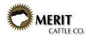 MeritLogo1