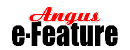 AnguseFeature