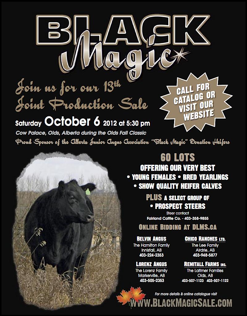 Black Magic Sale