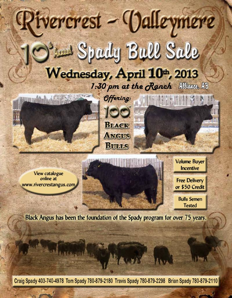 Spady Bull Sale