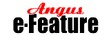 AnguseFeature