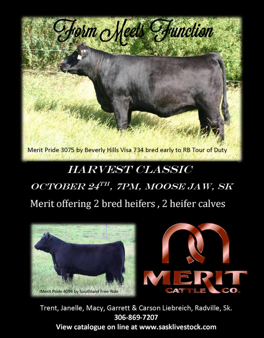 Merit Cattle Co.