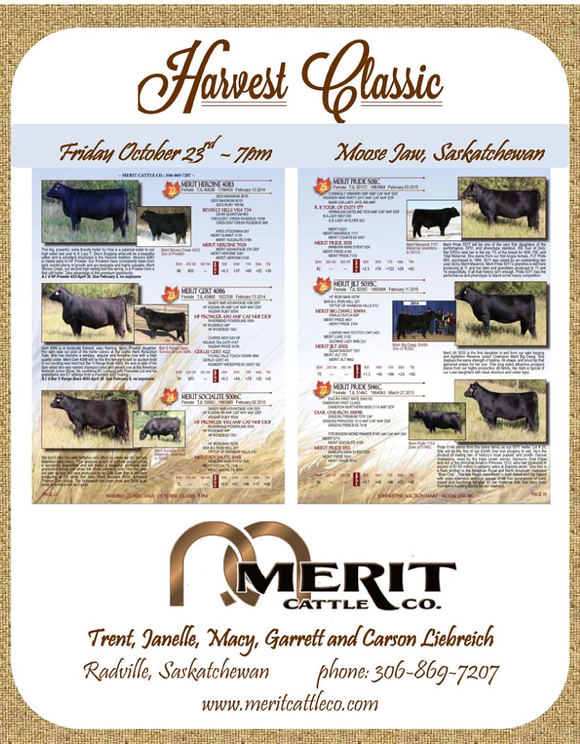 Merit Cattle Co.