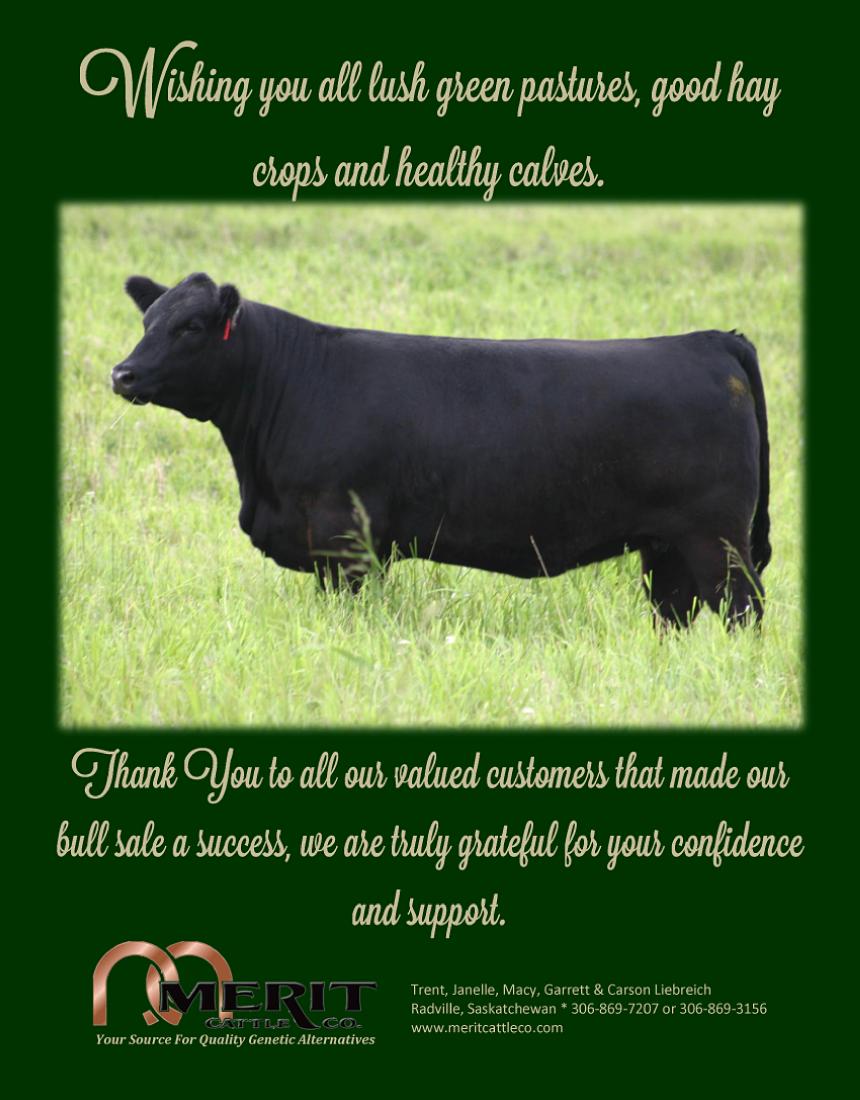 Merit Cattle Co.