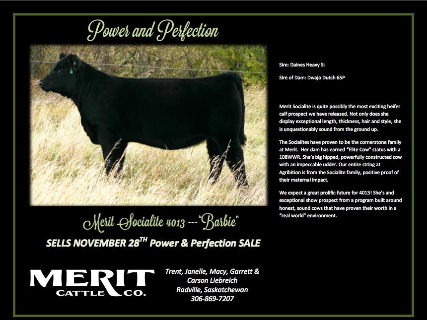 Merit Cattle Co.