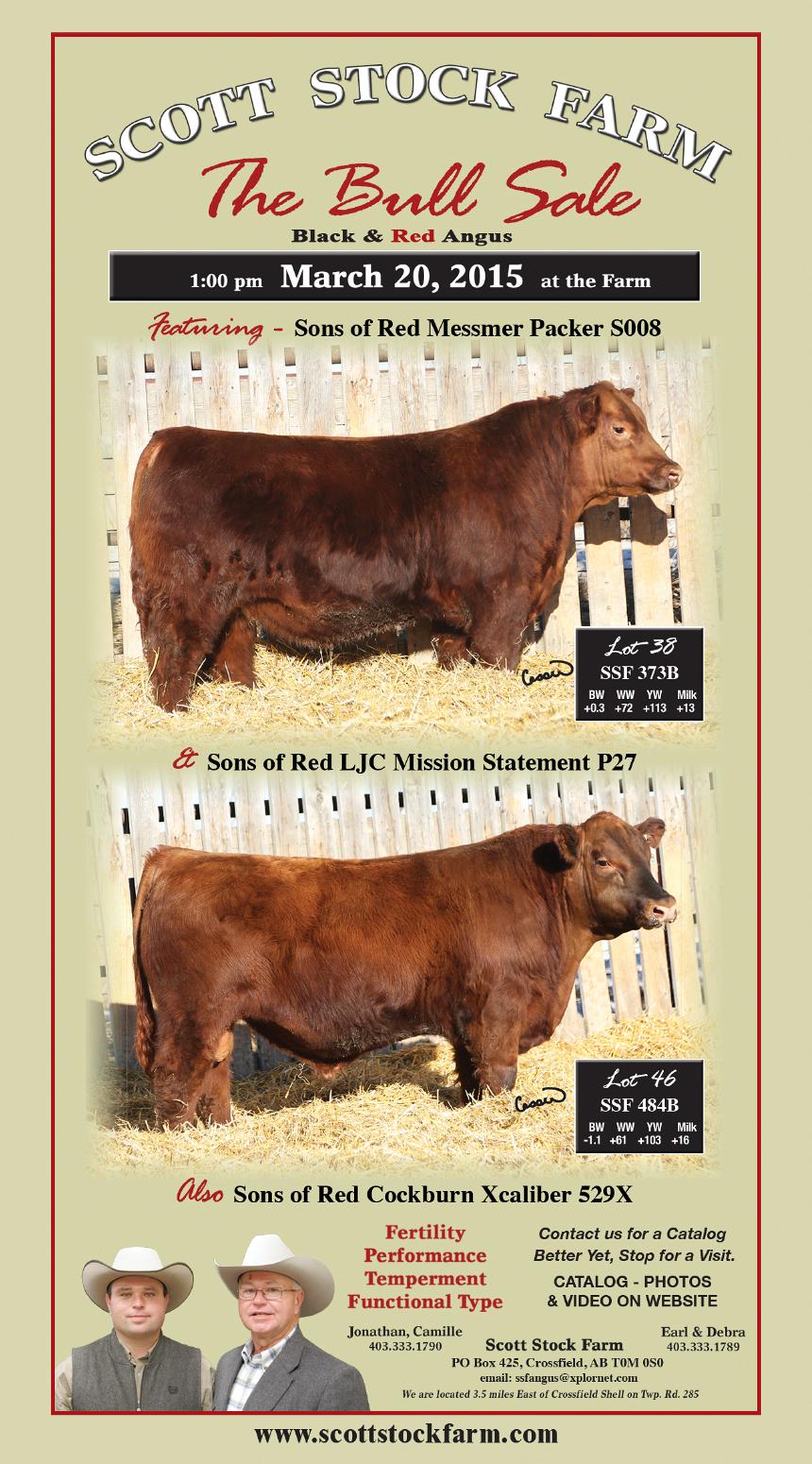 SSF Bull Sale