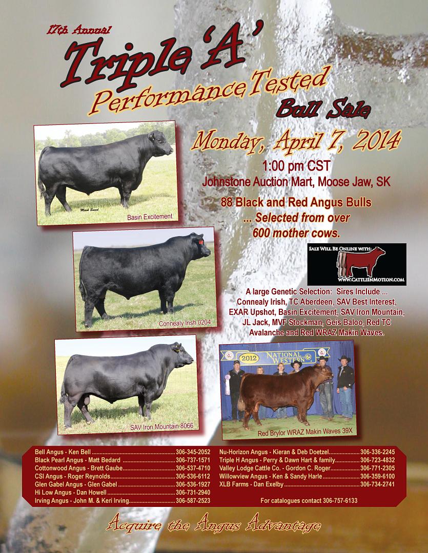 Triple A Bull Sale