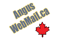 AngusWebMail