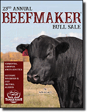 e-Feature Catalog