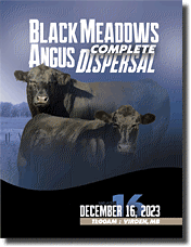 AngusWebMail e-Catalogue 
